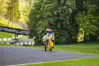 Evening Low_Mid Group Yellow Bikes